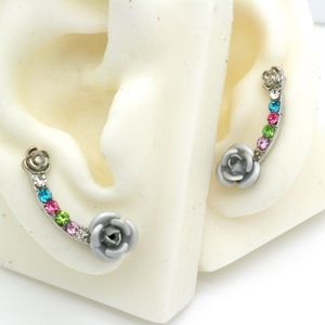Ear Pins Crawlers Crystal Earrings Pair 5 colors